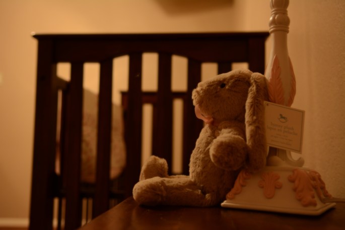 Nursery In Progress 3