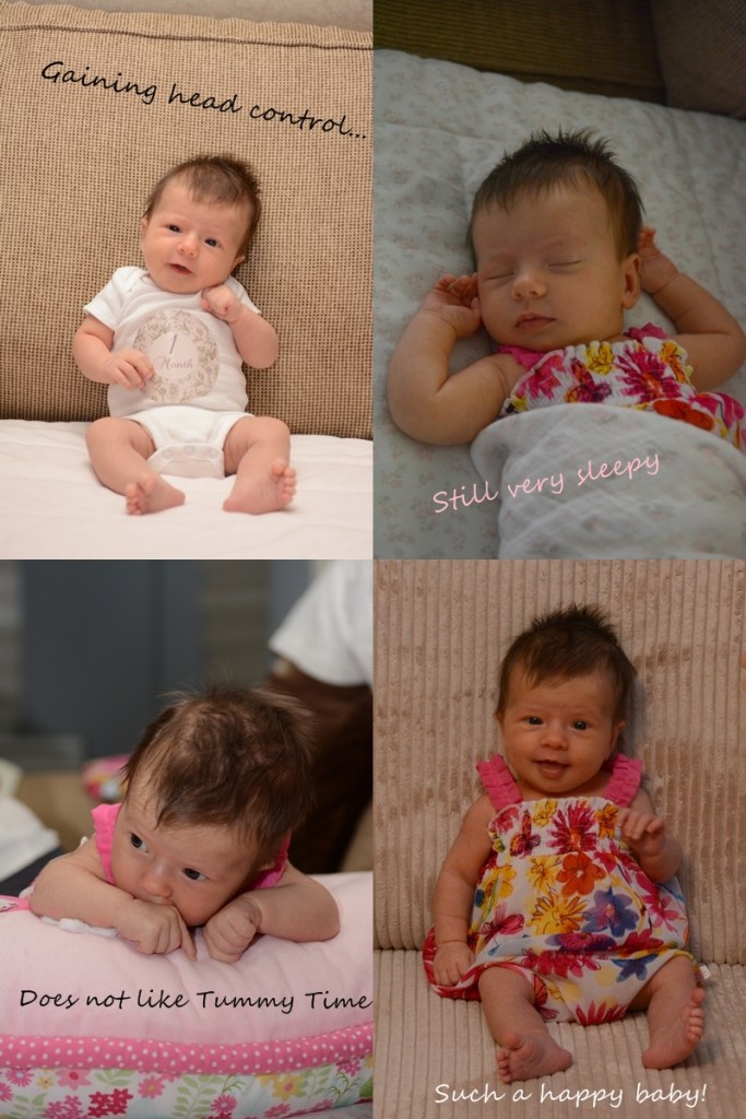 1 Month Old Josie -tile3