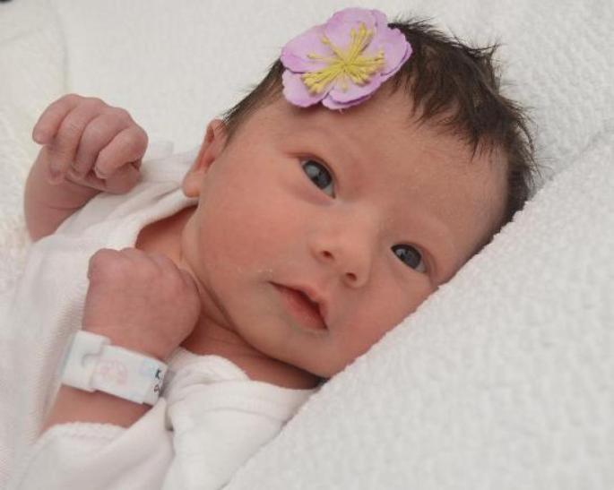 41c58020-df5c-47c4-bc03-7801fe235716-l