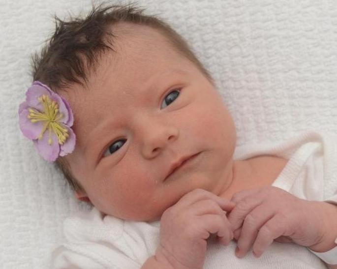 83297f19-c3e0-4aa1-849d-7ba287fd62c0-l