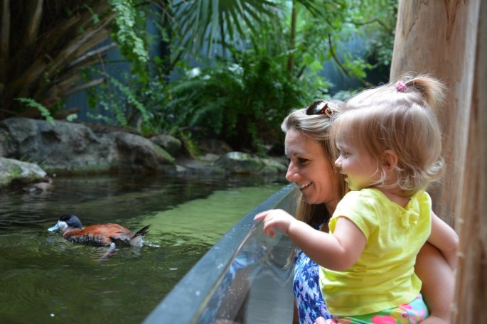 20150918_144641_D71_1343