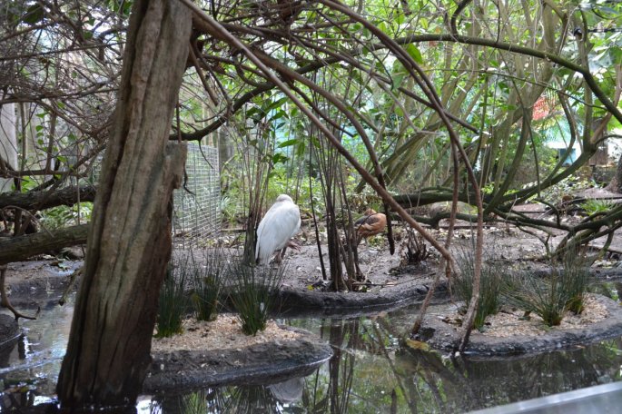 20150918_145225_D71_1348