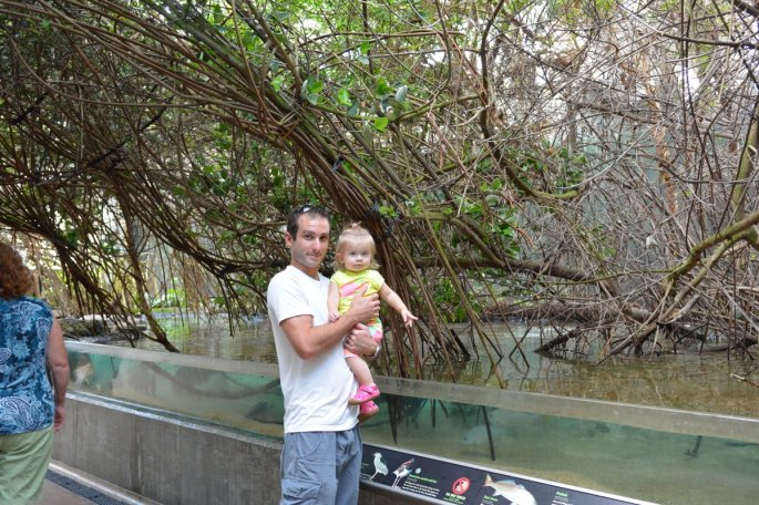 20150918_145257_D71_1354