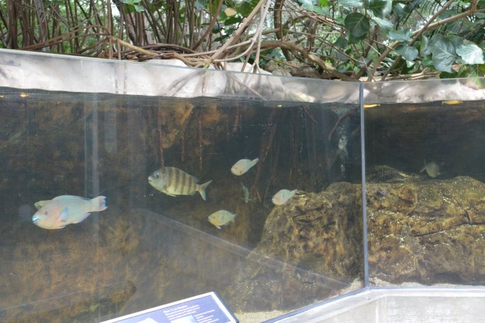 20150918_145801_D71_1372