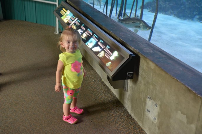 20150918_145943_D71_1376