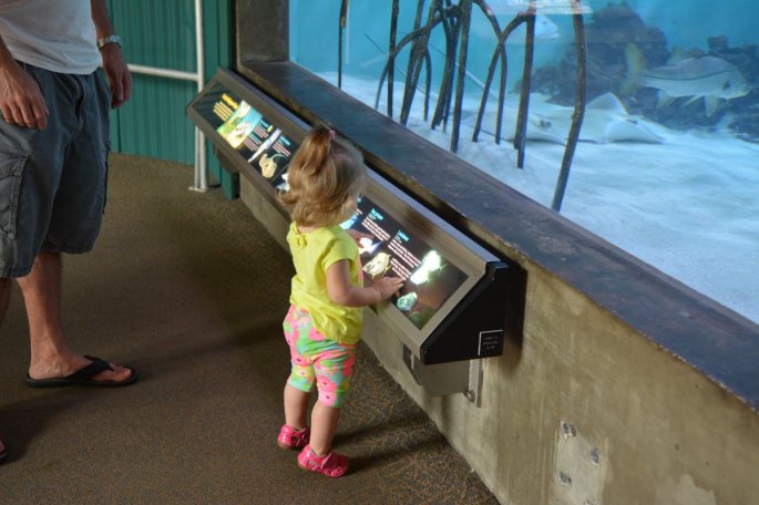 20150918_150001_D71_1379