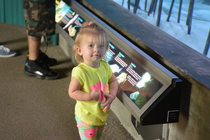 20150918_150013_D71_1381