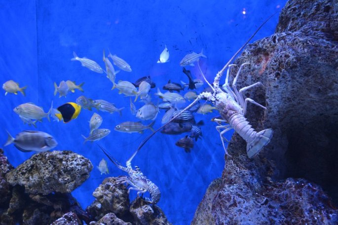 20150918_150226_D71_1391