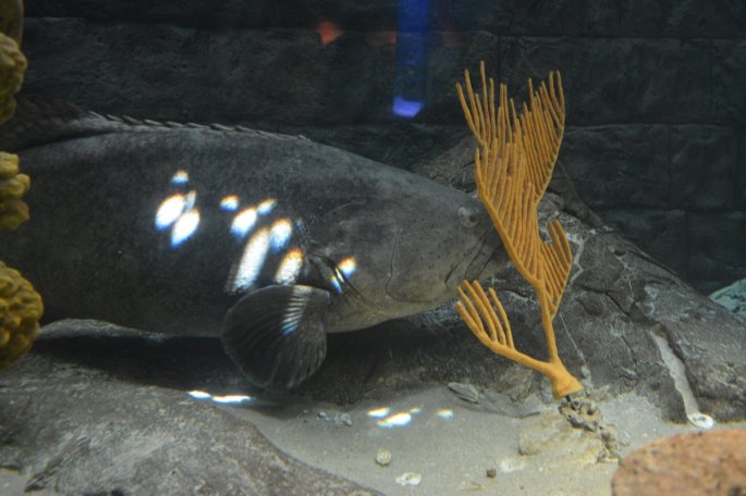 20150918_150356_D71_1398