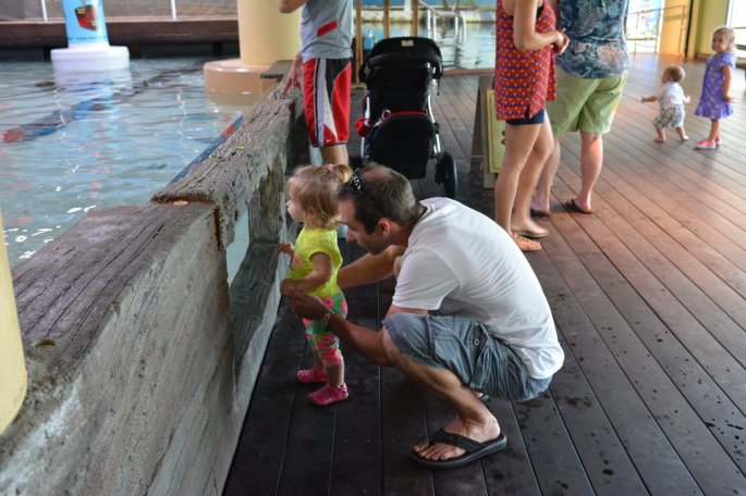 20150918_150620_D71_1412