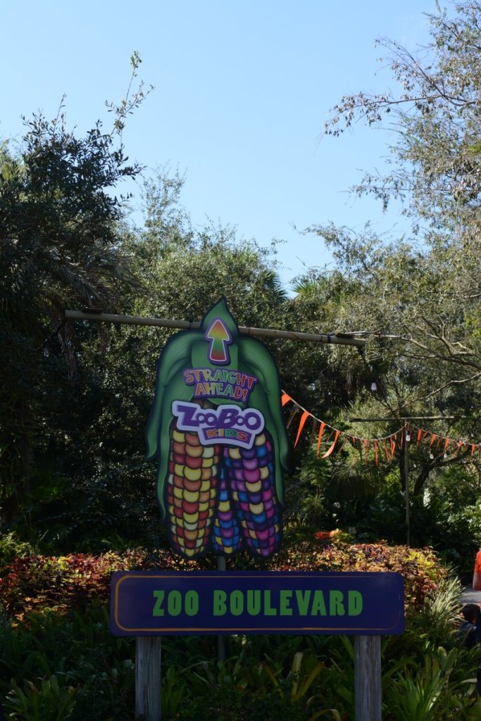 20151011_145125_D90_1703