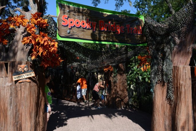 20151011_152646_D90_1790