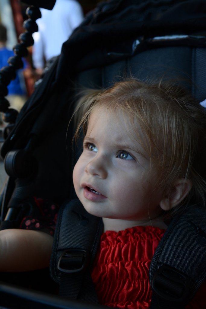 20151011_162910_D90_1838