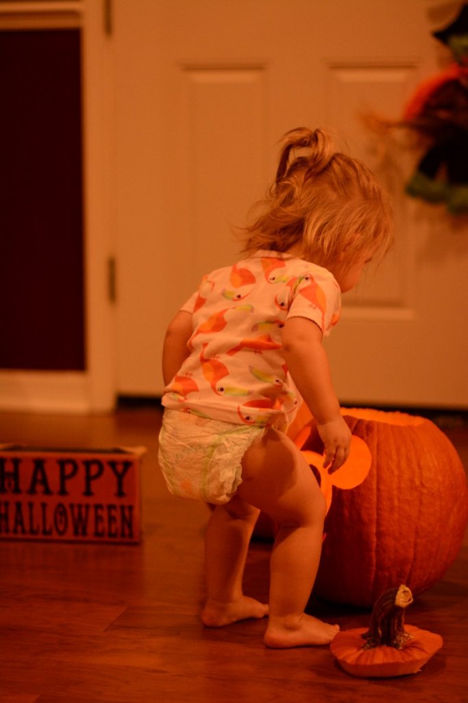 20151013_194901_D90_1938