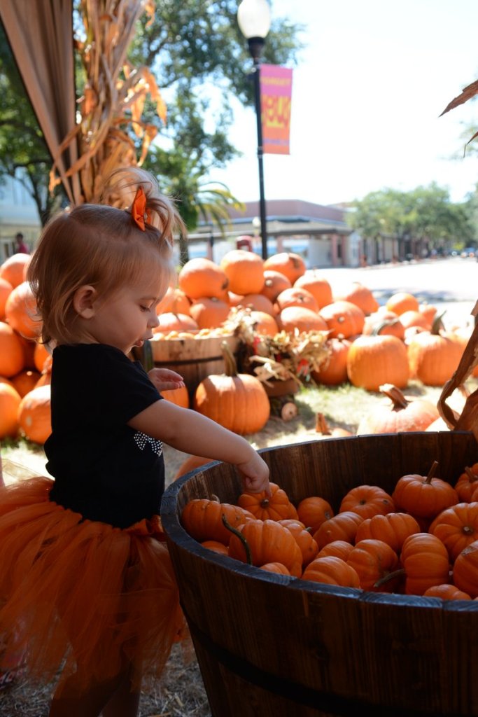 20151017_130036_D90_2064