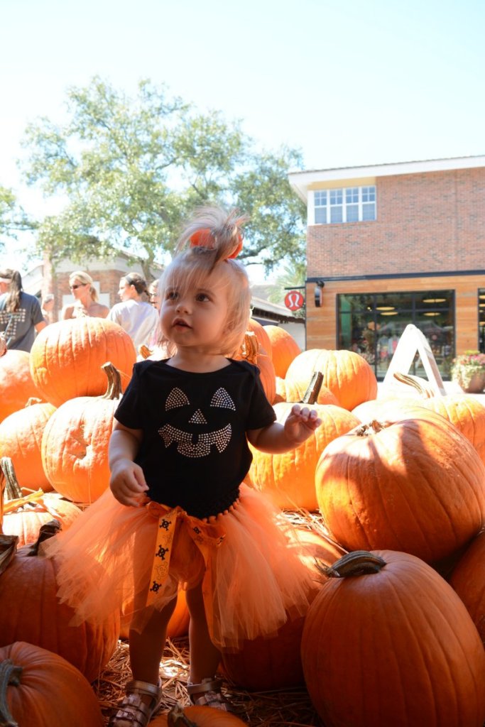 20151017_130154_D90_2079