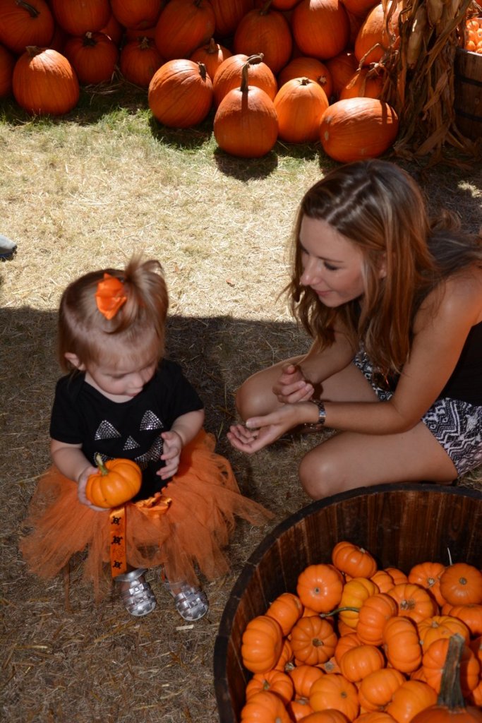 20151017_130730_D90_2092