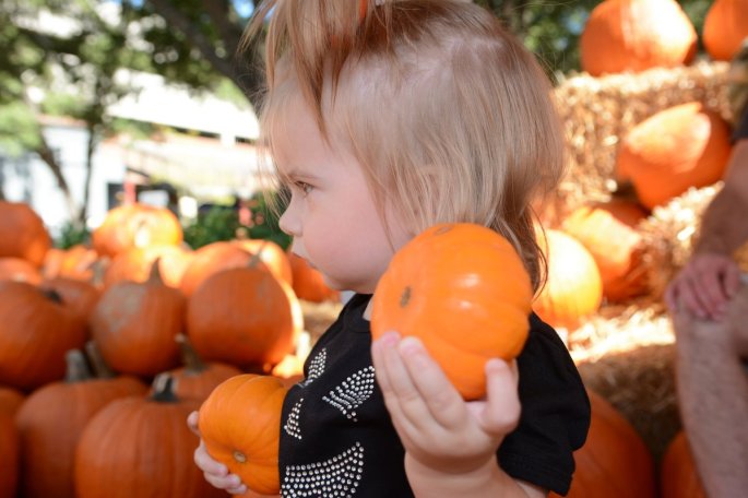 20151017_131203_D90_2122