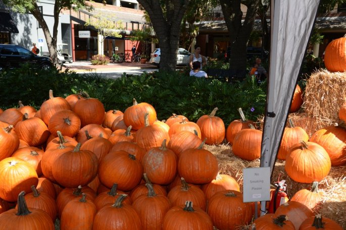 20151017_131409_D90_2142