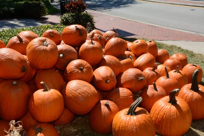 20151017_131710_D90_2178