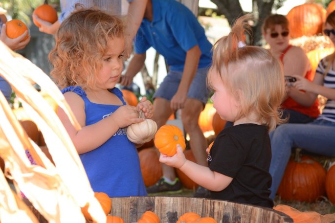 20151017_133438_D90_2234