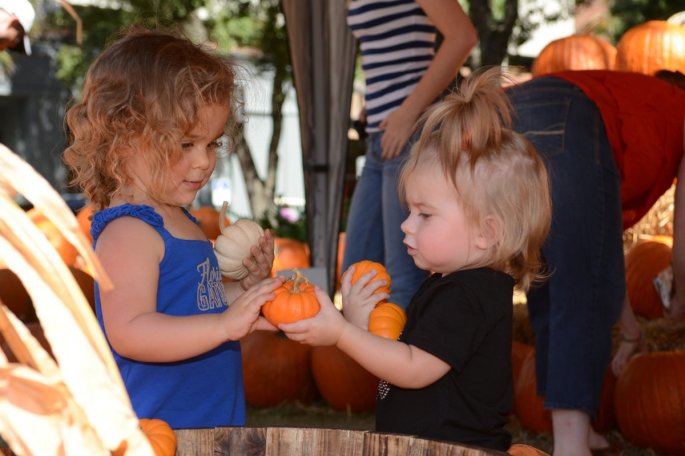 20151017_133448_D90_2237