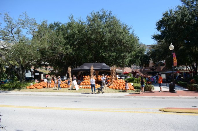 20151017_133818_D90_2240