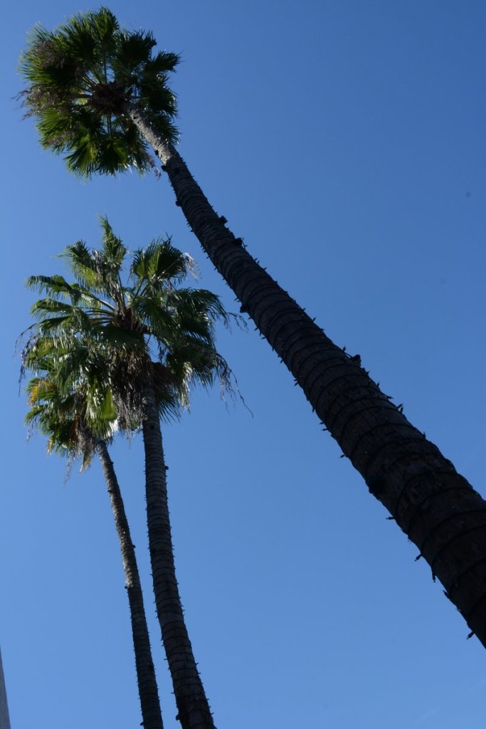 20151017_134033_D90_2244