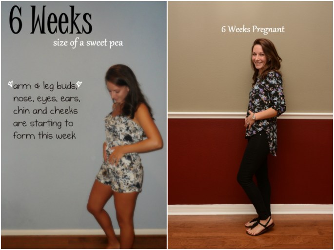 6 Weeks