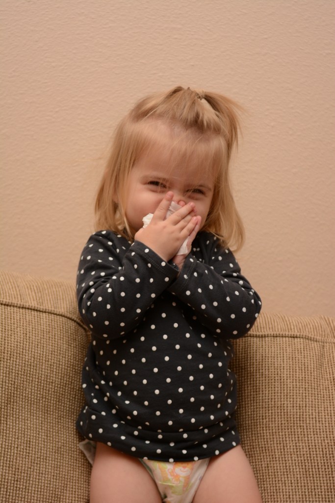 20160227_123113_D71_3332