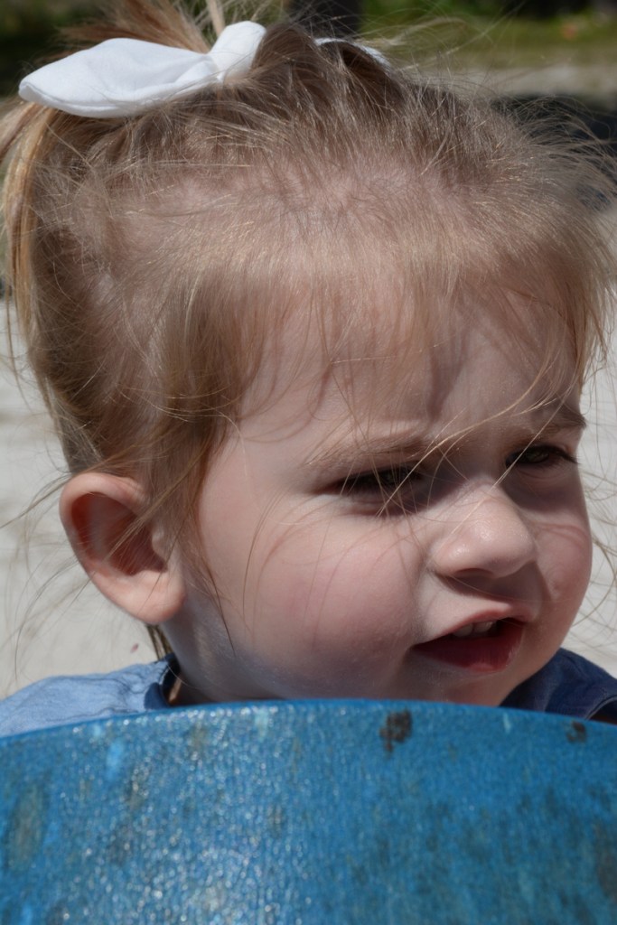 20160323_134000_D71_3560