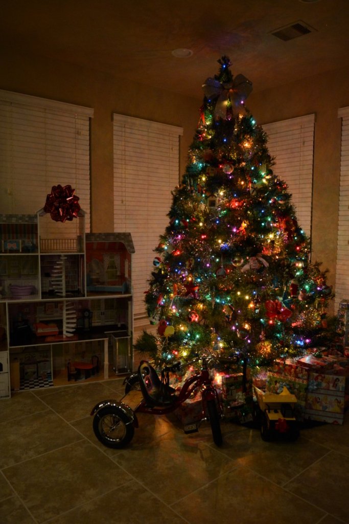 20161224_015924_d71_4905